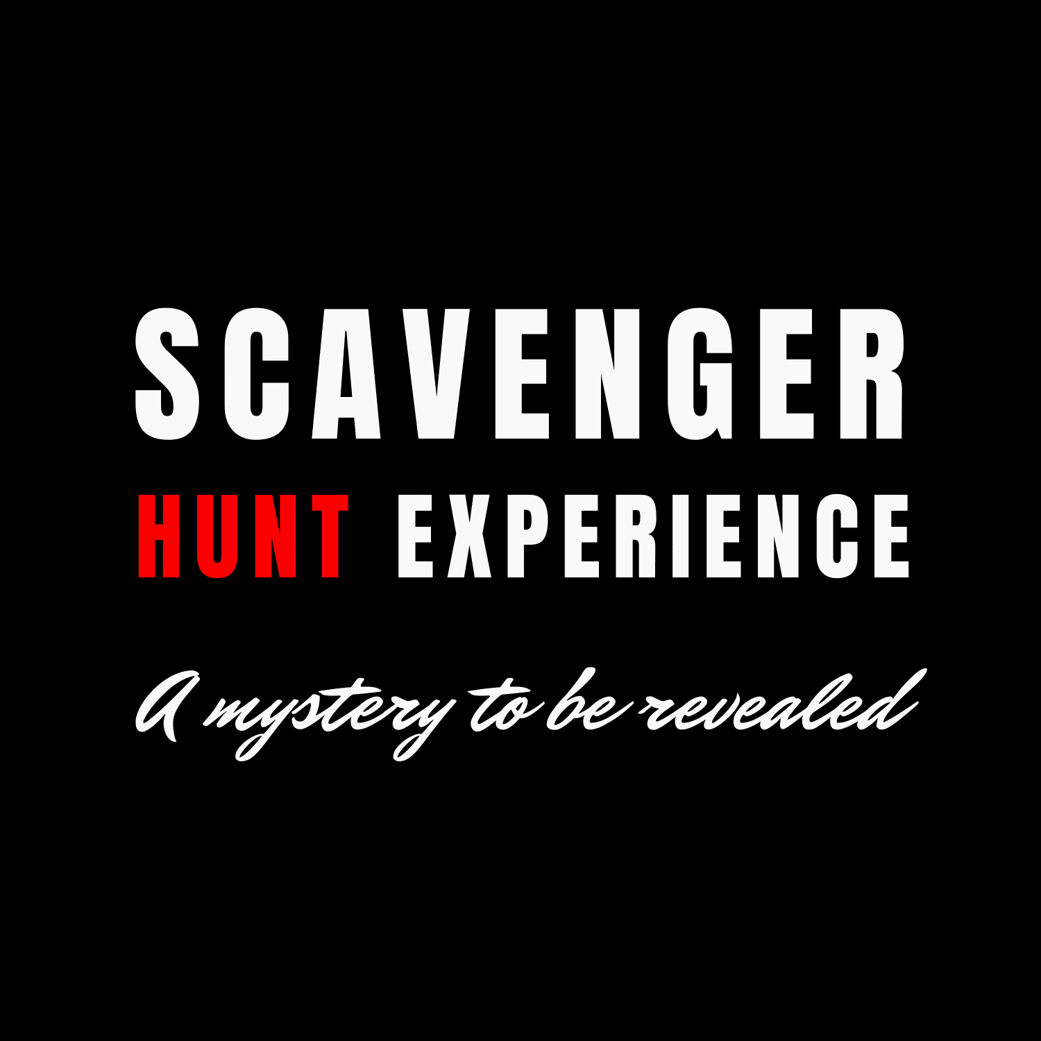 Scavenger Hunt Haarlem by Haarlem Food Experiences